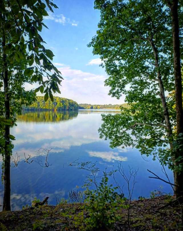 MarieSkillern1's tweet photo. Blue skies and blue water make for a great lake day! Has anyone been out on the lake yet?

📸 @northalabamahiking

#lakes #lakehomes #lakehomesrealty #lakelife #lakelifestyle #lakeliving #lakerealty #lakerealestate #lakerealtor #alabama #alabamalakes #florence #muscleshoals https://t.co/ftmvvZNXwu