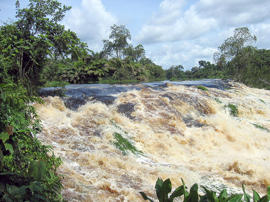 Vous avez un projet éditorial sur l' #environnement en Afrique, Afrikimages Agency, la 1ère banque d'#images d'Afrique centrale vous propose l'achat en ligne en toute sécurité des milliers de #photo/ sur ce theme:afrikimages.com/nature/  #afrique #nature #foret