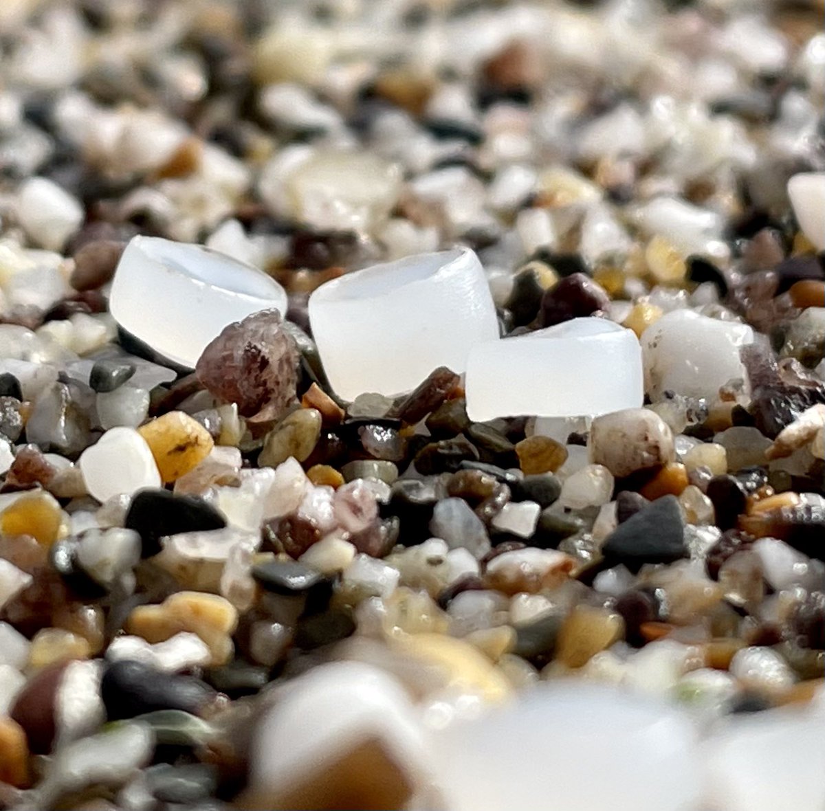 Pete Moore tweet media