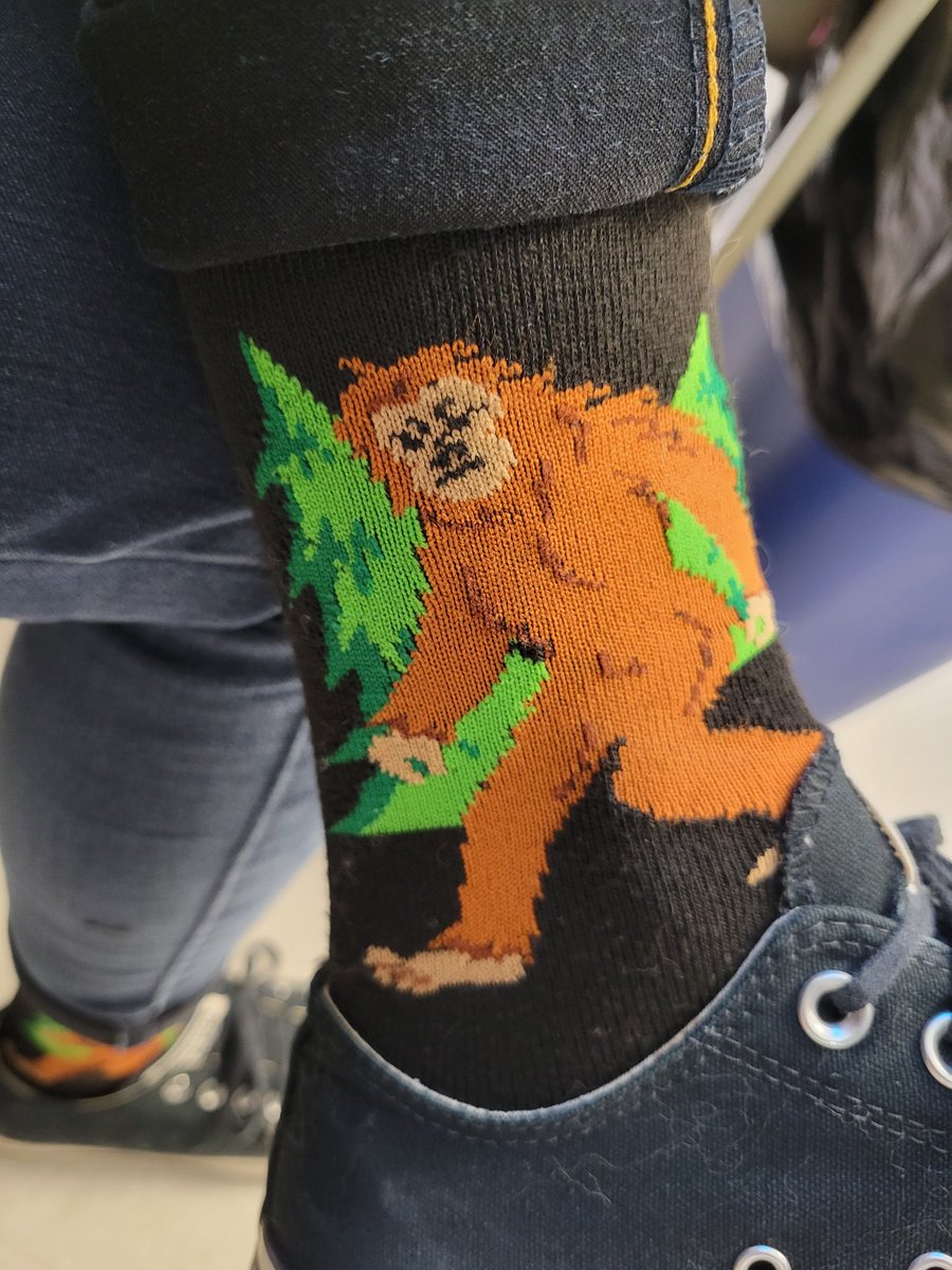 Sasquatch lurking around on #rockyoursocks #WorldDownSyndromeDay