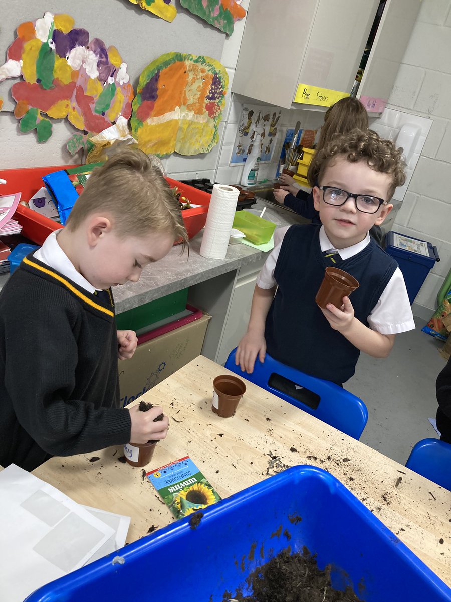 Gourockpr's tweet photo. To mark World Down Syndrome Day #WDSD2023 🌈 Primary 1 planted sunflowers. They will watch them grow, each in their own unique way, taking them home to care for over the Easter holiday 🌻 #everyoneisunique https://t.co/ksh5ktdheN