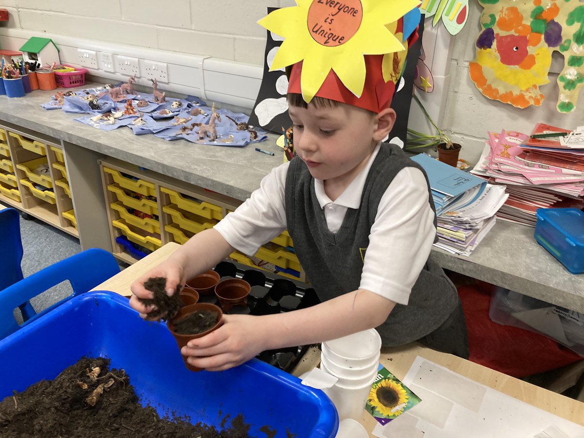 Gourockpr's tweet photo. To mark World Down Syndrome Day #WDSD2023 🌈 Primary 1 planted sunflowers. They will watch them grow, each in their own unique way, taking them home to care for over the Easter holiday 🌻 #everyoneisunique https://t.co/ksh5ktdheN