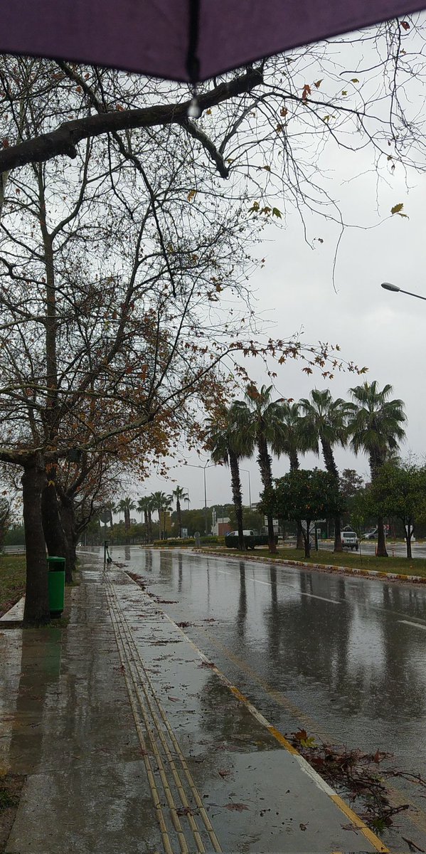 krqldyq's tweet photo. Akdeniz>>>fakülteme gittiğim yollar ve fakültemm🥺🫶🫶 https://t.co/Ei1DTFvJR0