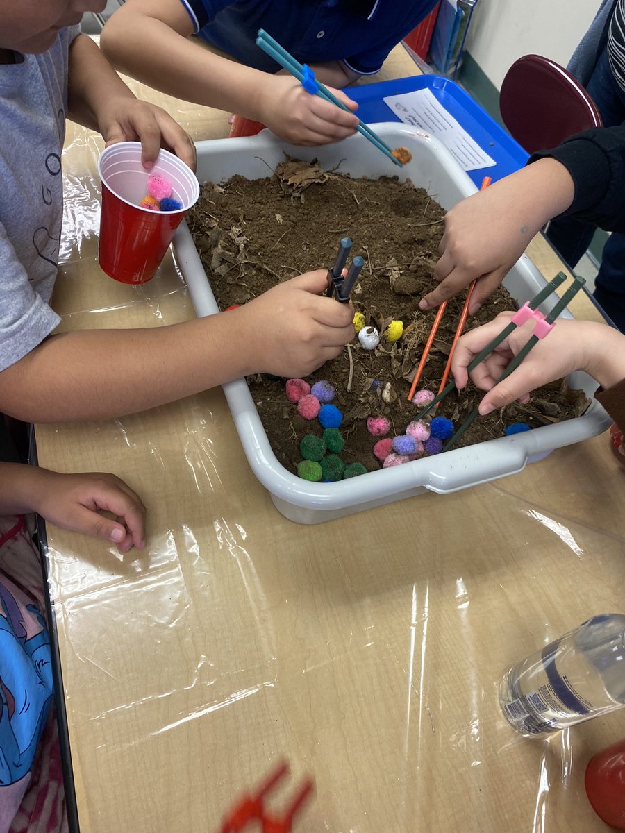 Elizabeth Baisley tweet media