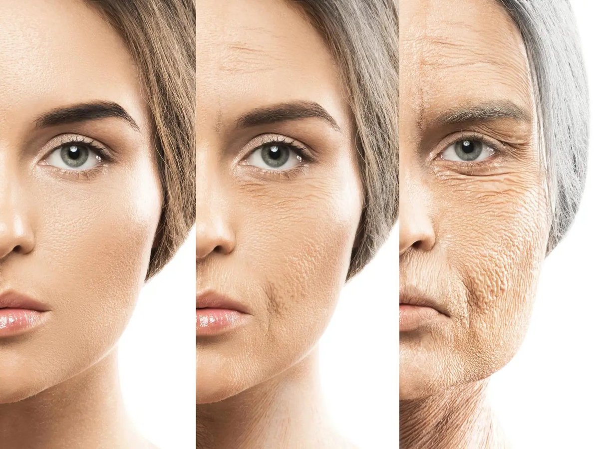 Ashrafi02's tweet photo. It’s believed that Menin reduction in the hypothalamus contributes to physiological aging, affecting cognition, skin thickness, bone mass, and lifespan. 
These guys here show a simple dietary supplement of an amino acid that may help mitigate some of these age-related changes! https://t.co/m0nzkpzWAo