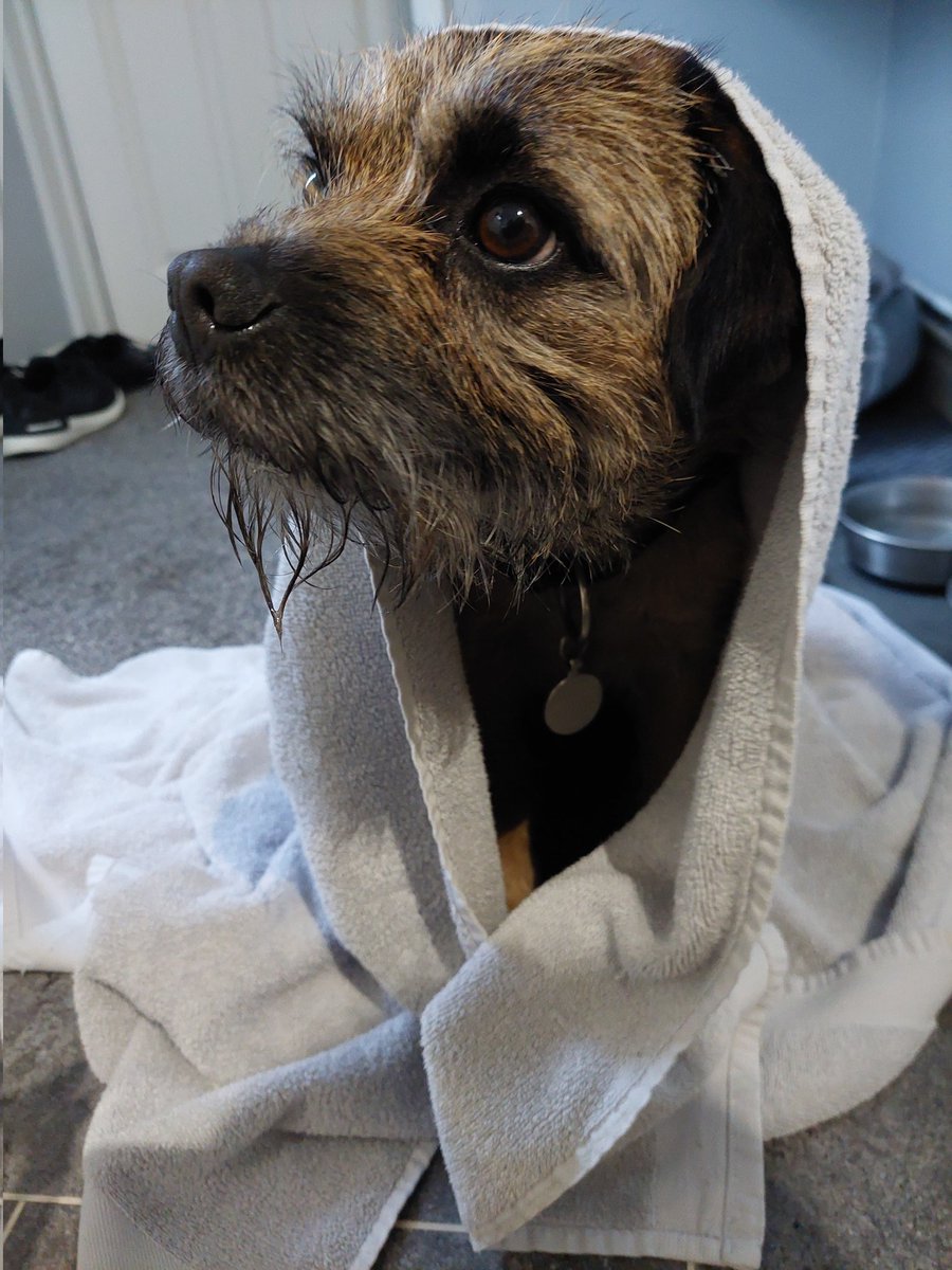 wilf_theborder's tweet photo. It's Obi-Wilf Kenobi 🤣 #BTPosse https://t.co/Wgm6T40byU