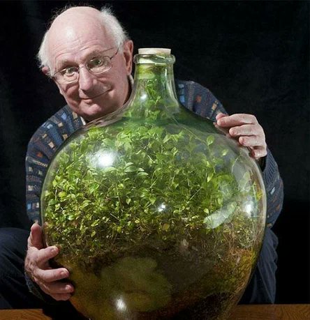 AlexVooka's tweet image. Читали как Дэвид Латимер посадил растение в закрытую банку, и 40 лет не открывал пробку, и оно там само по себе развивалось?