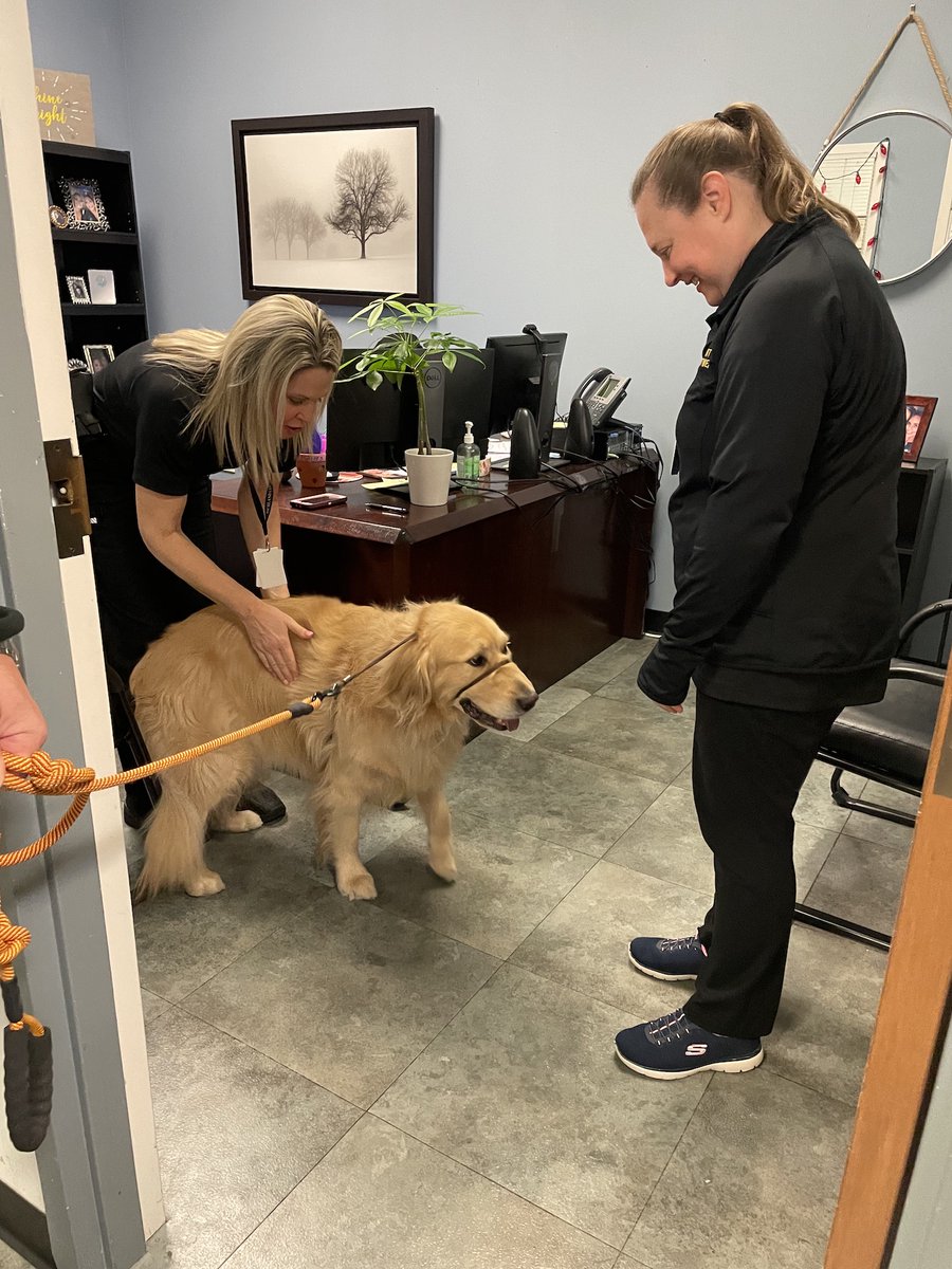 Meet Scout! He and his human, Jim Smyrl, were sworn in as special deputies today. 🐾 Afterwards, they got a tour of headquarters where Scout got all the scratches! Jim and Scout, who's trained through @PAALSinSC will volunteer with #RCSD, bringing comfort to victims of trauma.