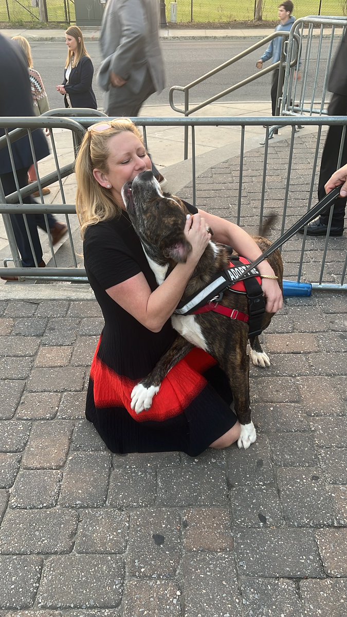 RubinTurnbull's tweet image. This is John Jacob. He’s a year and a half old looking for a family who loves people as much as he does. He is 80 pounds full of love and is ready to be taken home! Look for him today at the Tallahassee animal shelter or DM us for more information!