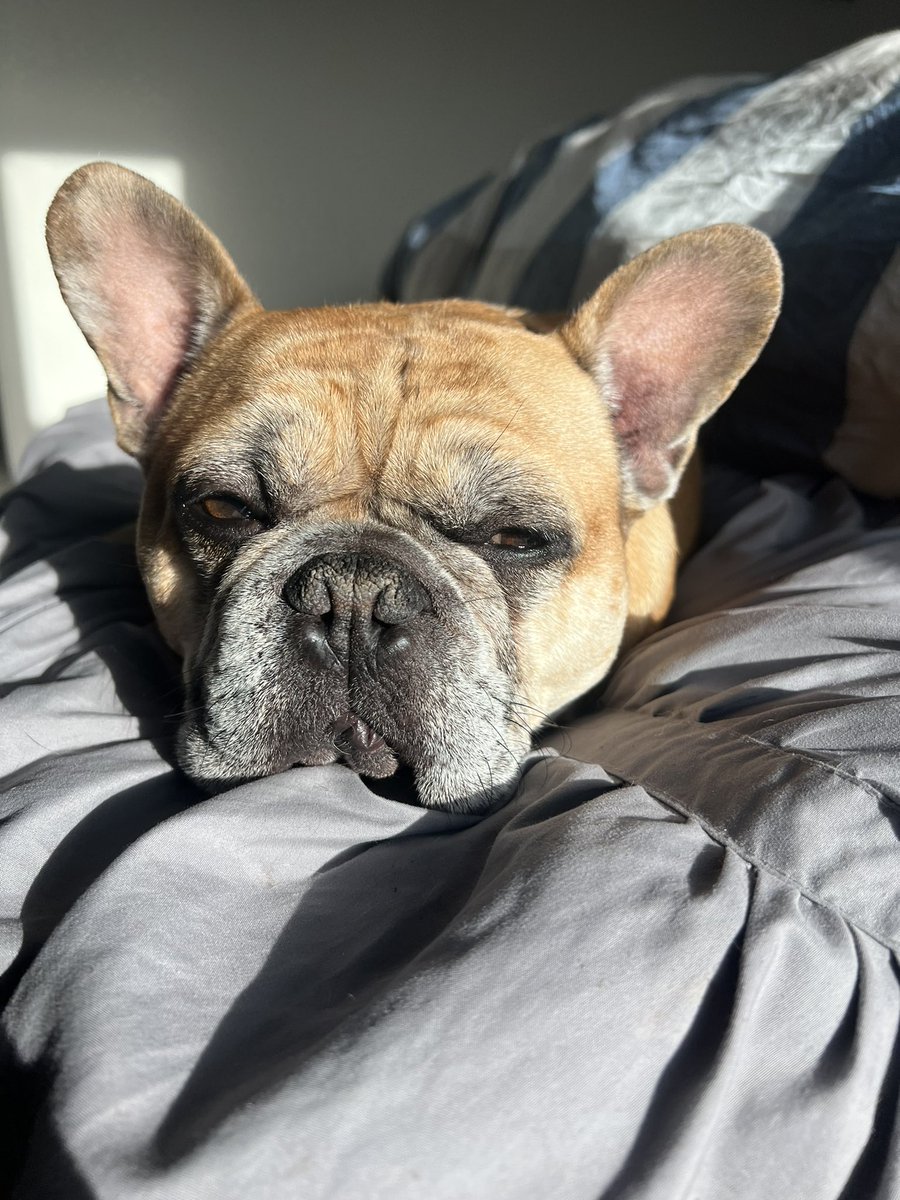 Sean Madden tweet media