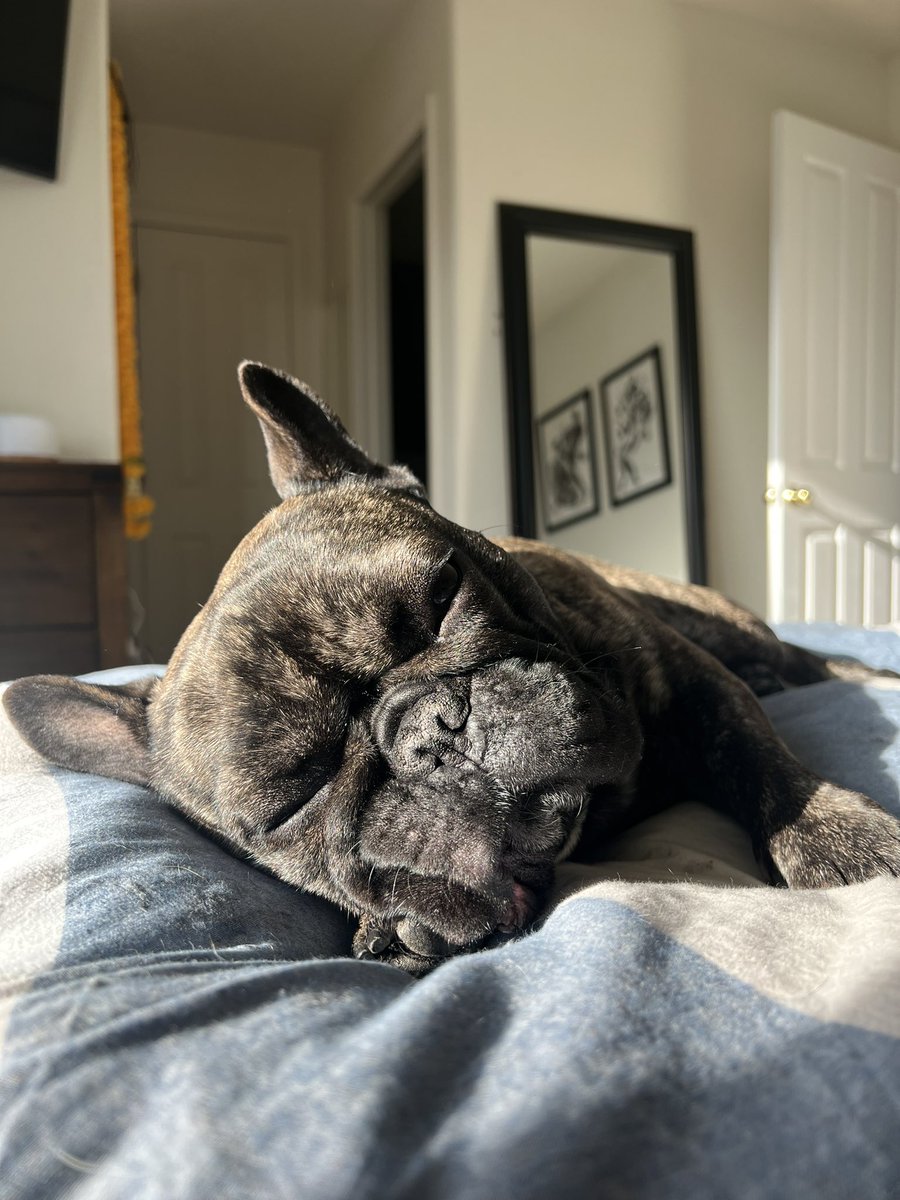 Sean Madden tweet media