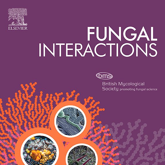 Call for submissions to our new #OpenAccess, international  journal 'Fungal Interactions'. 🌟Introductory offer: 50% off the APC, valid for all authors publishing Open Access and submitting their article by May 27, 2023.🌟
sciencedirect.com/journal/fungal…