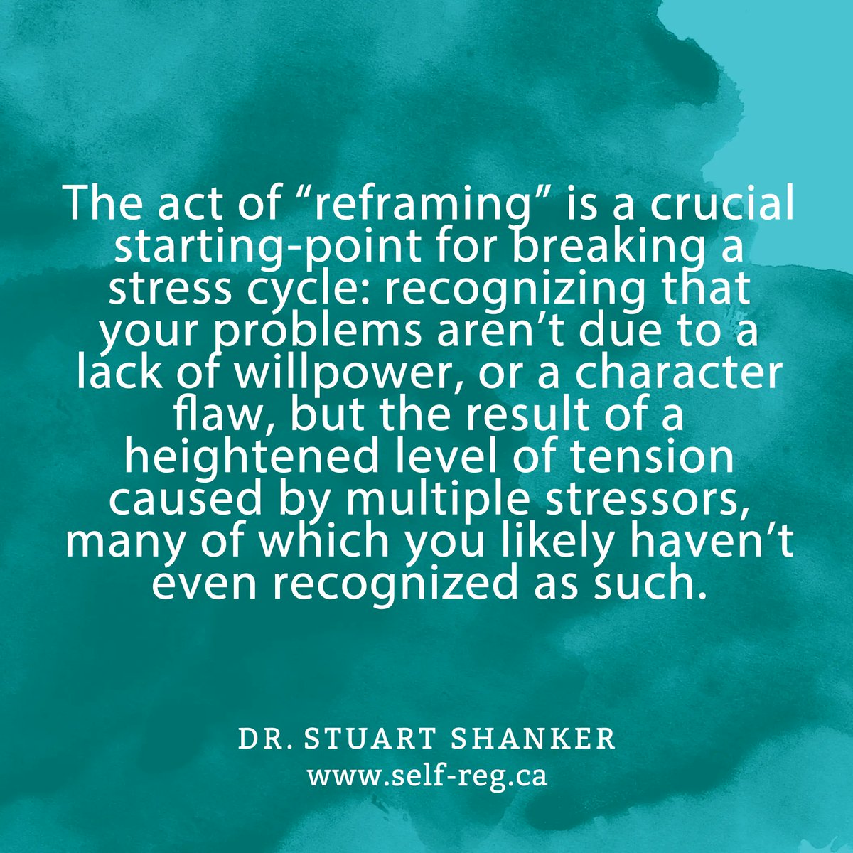 The MEHRIT Centre tweet media