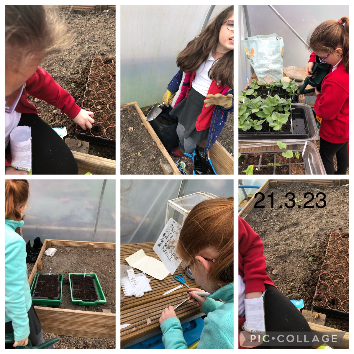 LiaGriffiths's tweet photo. @PengamYear3 @PengamYear4 Gardening Club have been busy, the past 2 weeks. Weeding, digging, watering, finding signs of spring and planting Potatoes, runner beans, sweetcorn and pumpkin seeds. @potatoes4school @EcoSchoolsWales @_OLW_ @GrowWildWales #springtime https://t.co/gfnpdwktFY