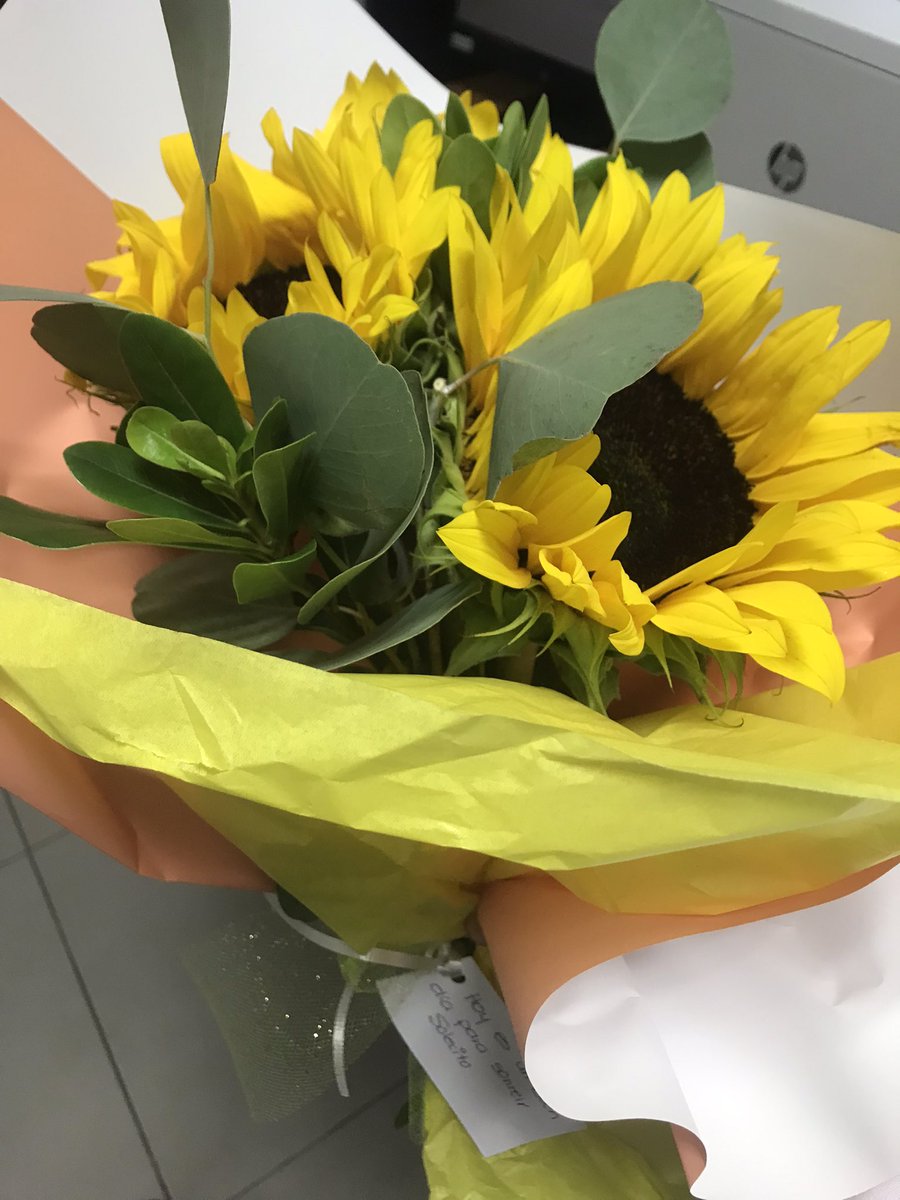 Alejett's tweet photo. Ella sabía que algún día pasaría ✨ https://t.co/maGQTXhGYV
