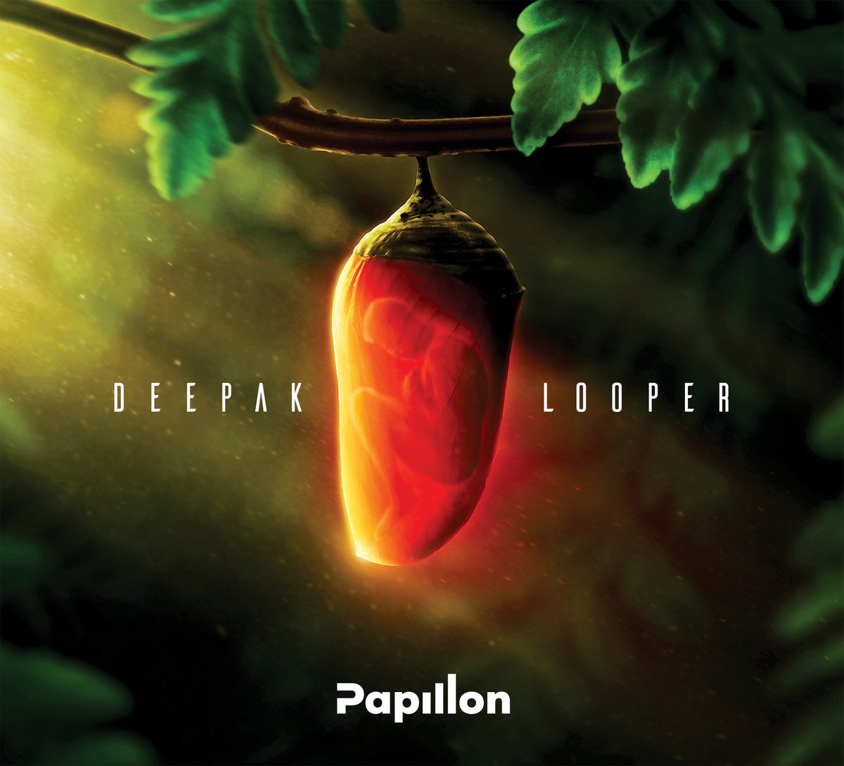 Deepak Looper hoje faz 5 anos!

Que seja sempre o nosso símbolo de que é possível dar a volta por cima!

I'm proud of you boy! 📀