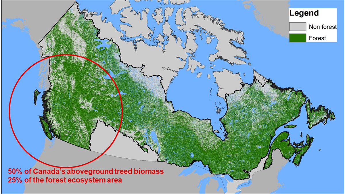 Mike Wulder tweet media