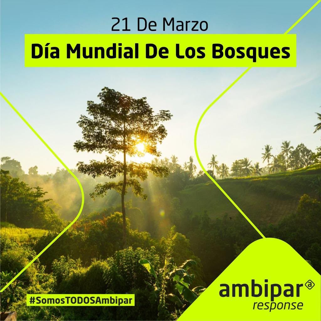 AMBIPAR RESPONSE LATAM tweet media