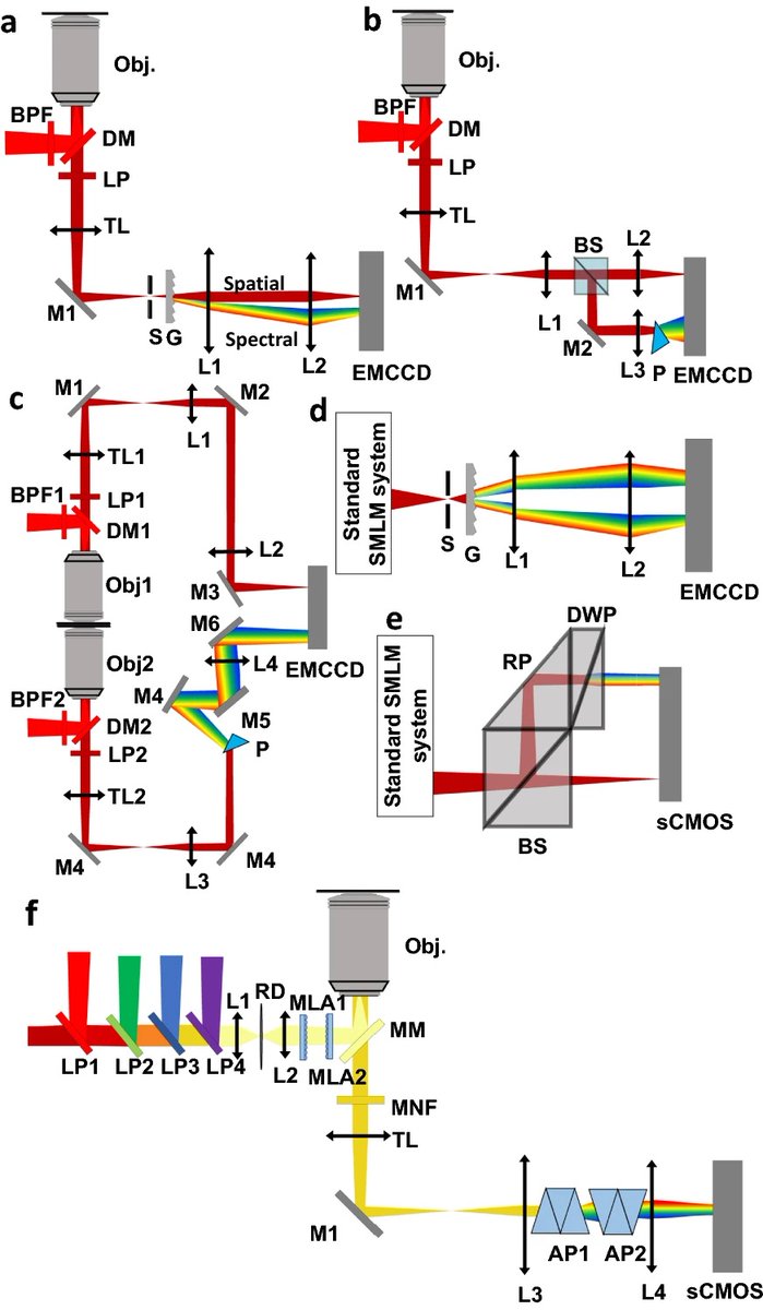 In our latest review, doi.org/10.1186/s40580…, we discussed recent technology development of spectroscopic single-molecule localization microscopy #SMLM #sSMLM, and its applications to biology and chemistry. We emphasized the impact of #sSMLM to single-particle tracking #SPT.