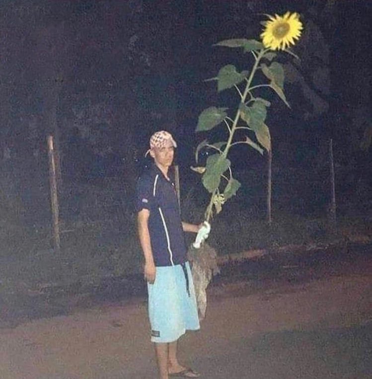 Así te iba a llegar hoy, pero no me hablas.