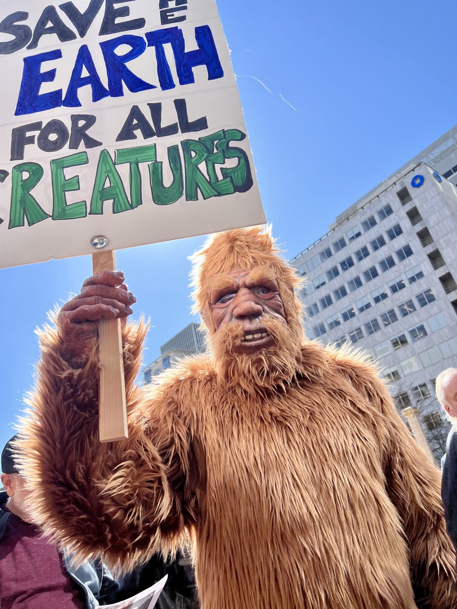 OregonThirdAct's tweet photo. Bigfoot came all the way out of the forest to cut up their credit card and tell the dirty banks: stop funding fossil fuels! #StopDirtyBanks #ActonClimate #32123 @ThirdActOrg @Chase @WellsFargo @BankofAmerica @Citi https://t.co/OjUzuYeQwl