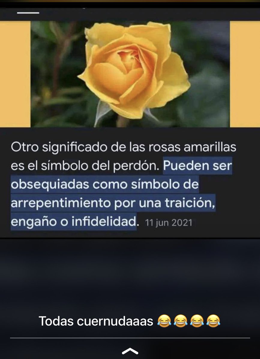 ___TINNA___'s tweet photo. yo y las ardidas https://t.co/ctDYvulJDb