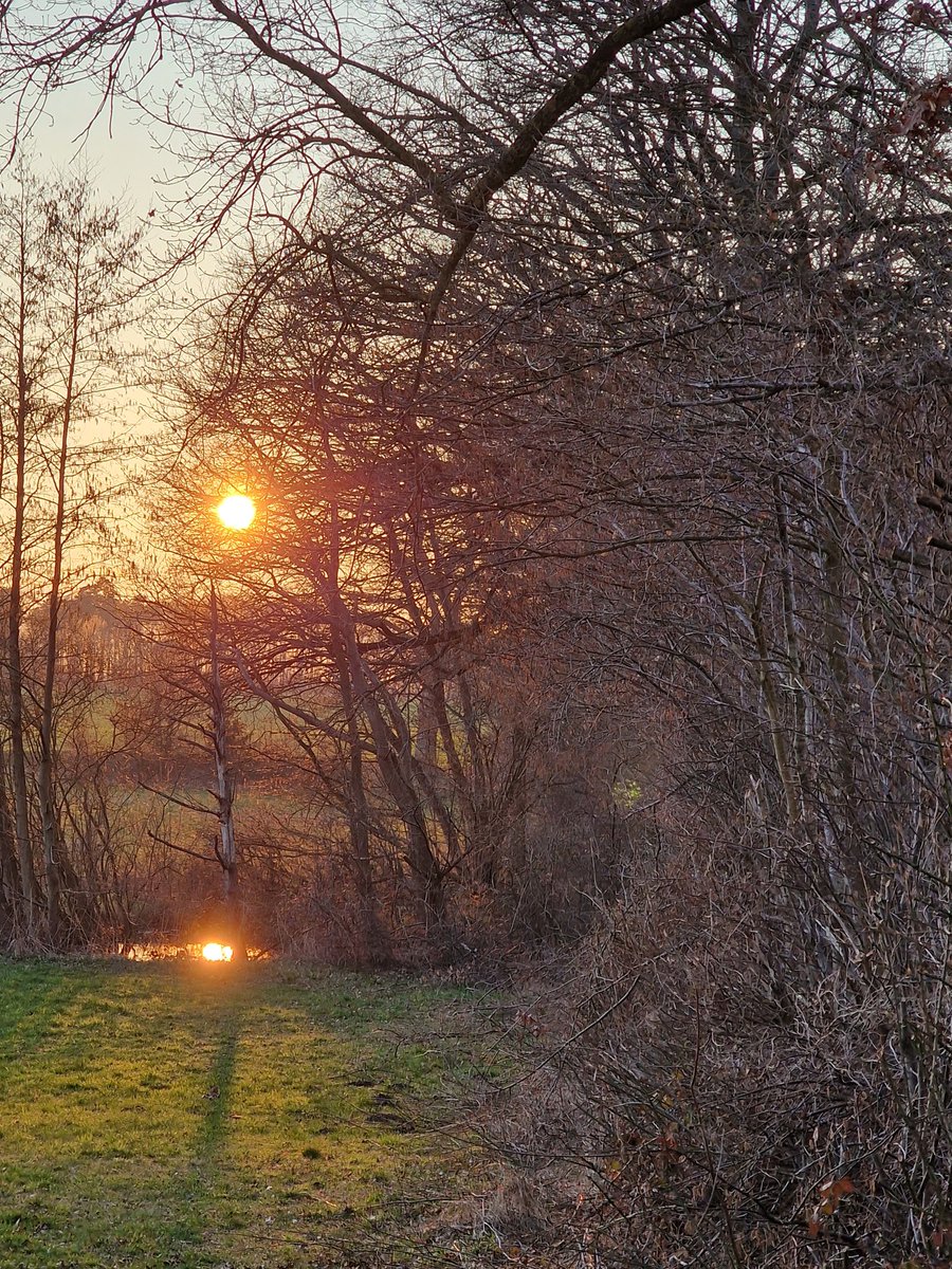 OdenbachWitt's tweet photo. Good night lovely friends. https://t.co/2soMbJ43Yp