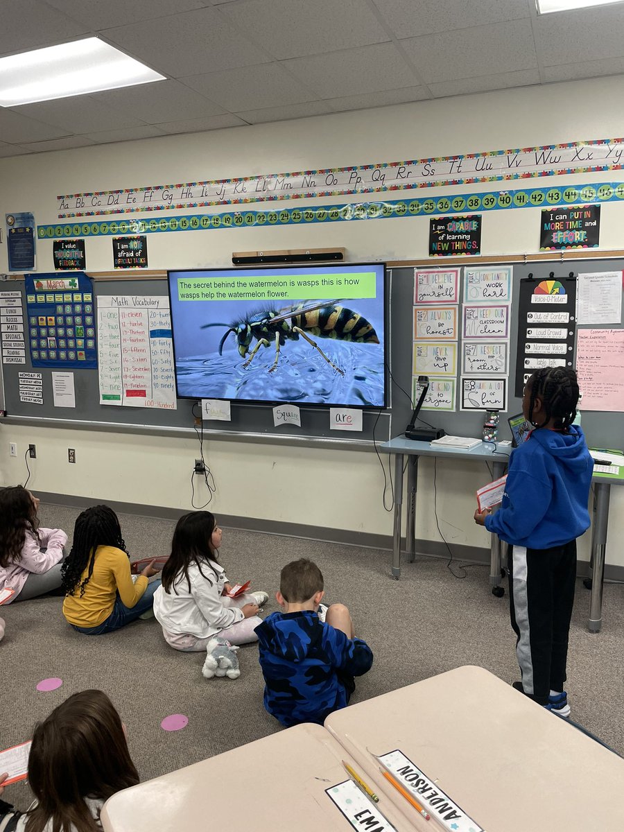 SoaringSecond's tweet photo. Oral Presentation Day! We worked so hard and learned a lot of information about pollinators!💙💚 #makeithappen @JeffreysGroveES https://t.co/5APOKT9eqi