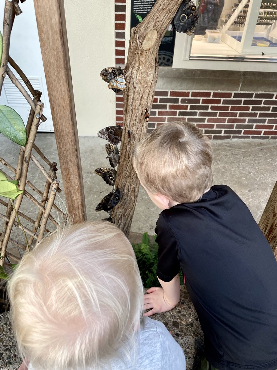 emilyzaiserwade's tweet photo. Sometimes #WritingWithKids Looks like… not writing. It looks like going to the zoo with your kids and trusting that the part of your brain that does the imagining is still working in the background. And that’s OK. #amwriting #kidlit https://t.co/TfHXrHV0Ws