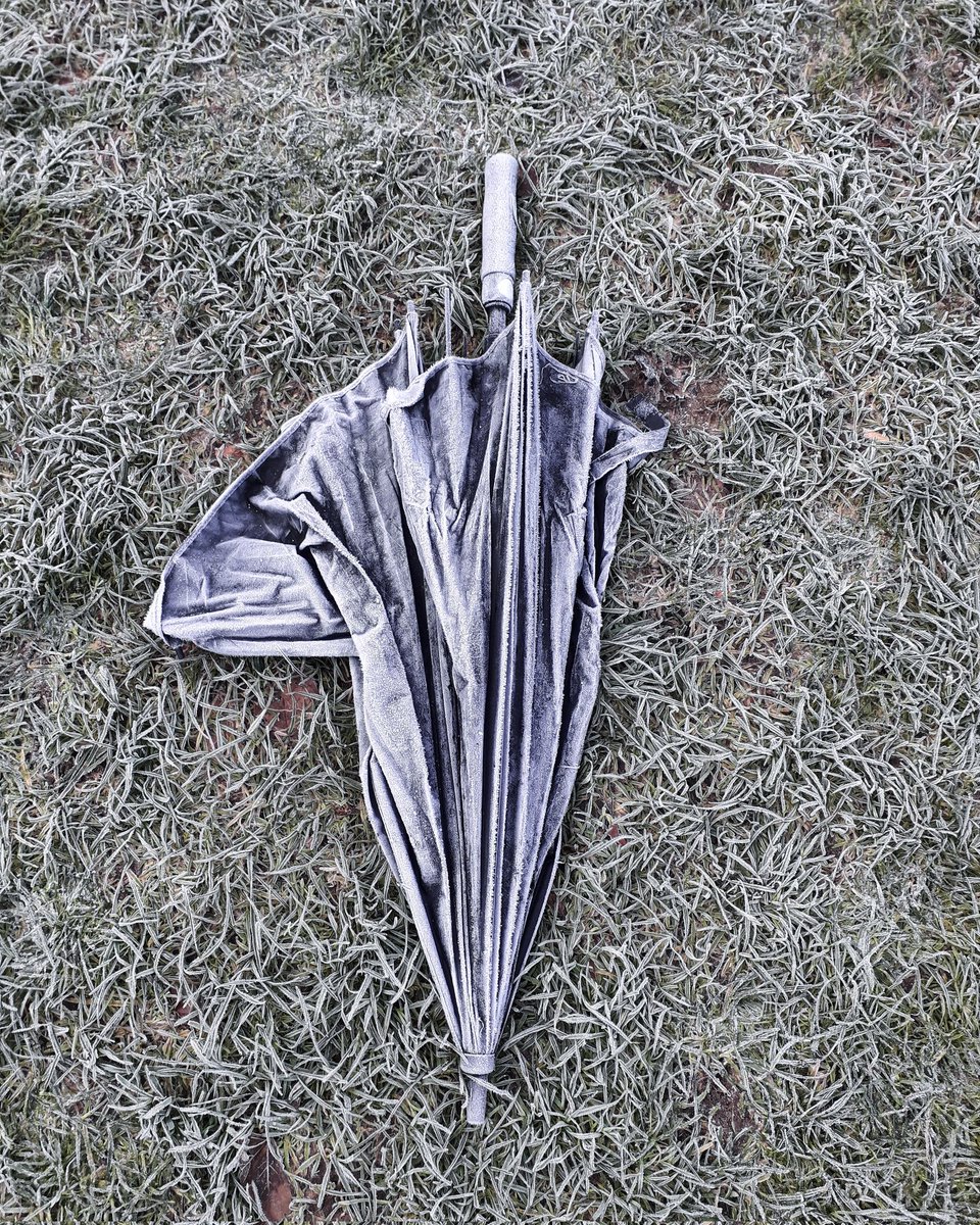 My final post for the Letter U] of the alphabet challenge is Umbrella. Possibly the ultimate accessory associated with life in Manchester. But sometimes nature makes the random shit I find in Prestwich look pretty. Jack Frost had got to this one ❄☔ #mhhsbd