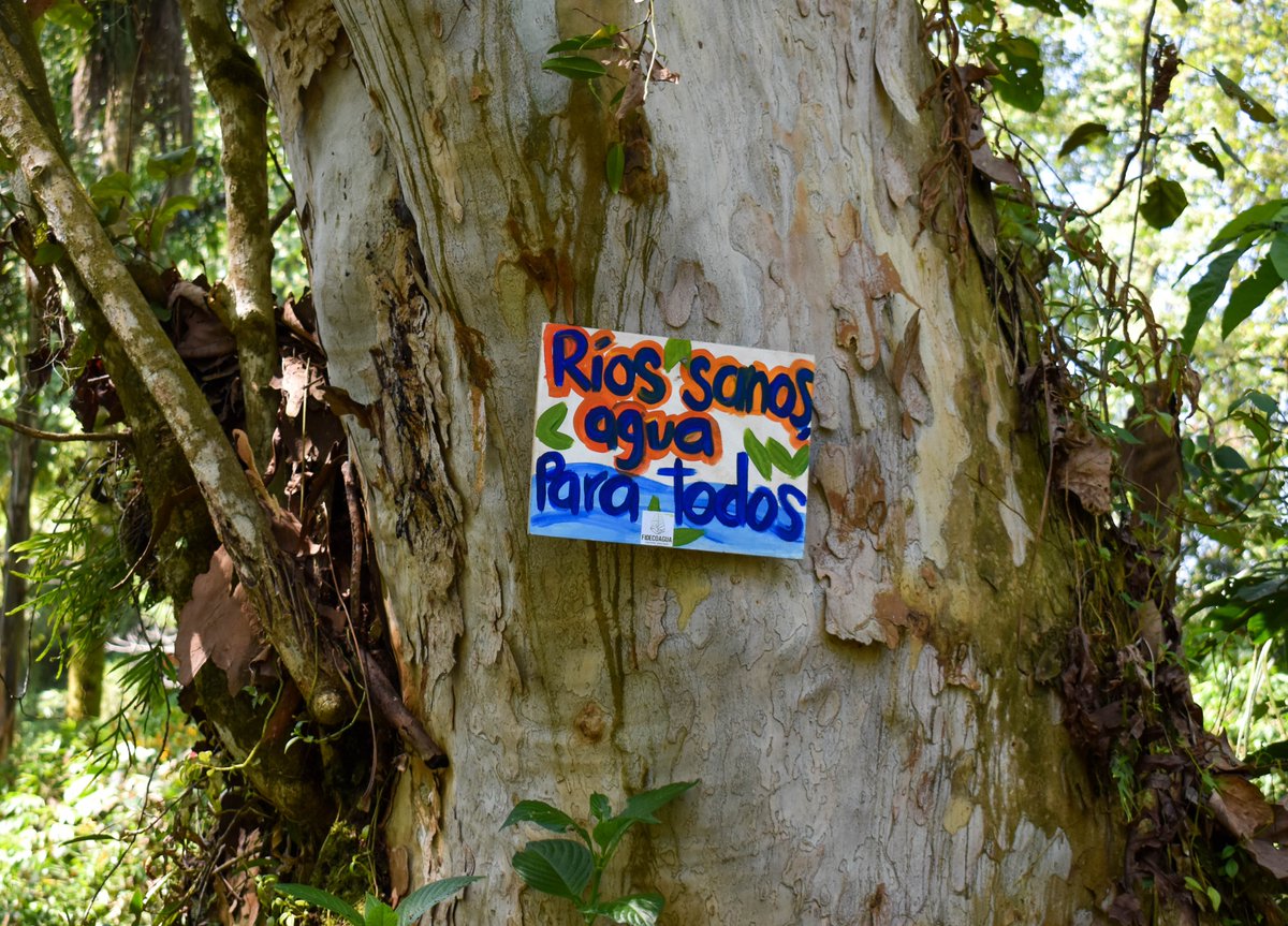 En el marco del Día Mundial del Agua, el H. Ayuntamiento de Coatepec a través de la Regiduría Cuarta, CMAS y FIDECOAGUA, dieron inicio al festival del agua, con la jornada de limpieza “Bosques Limpios, es el Agua de Mañana”, realizada en el río Huehueyapan.