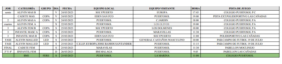 Balonmano Puertosol tweet media