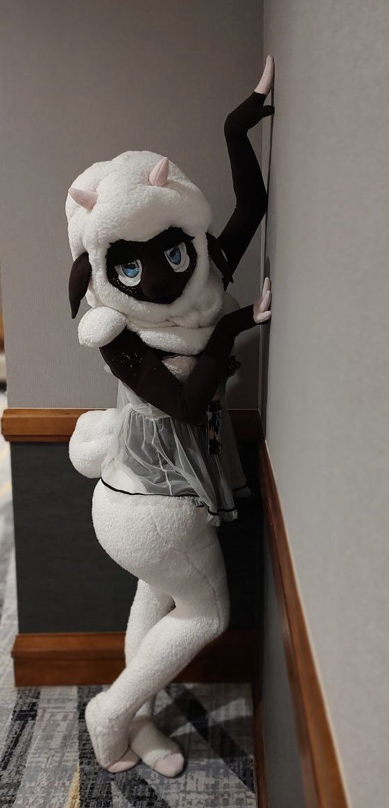 StoofStudios's tweet image. There’s a back log of suit photos to post as commissions are in full swing- but here’s some shots 📸@PeaceDorgi got of Mocha at #PDFC- fun AD panels!

She’s in need of an remake soon, older Sherpa sheep~ but lots of fun to wear and an experiment in stretch fabric