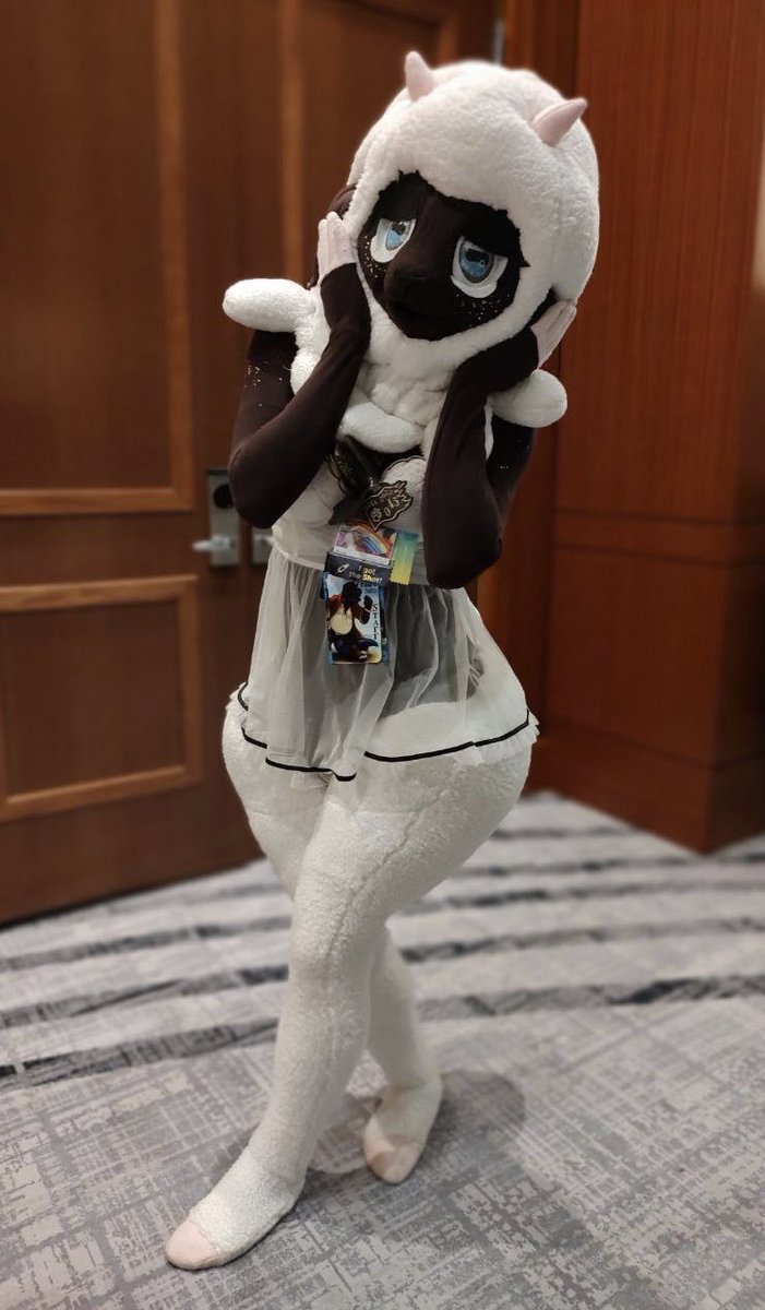 StoofStudios's tweet image. There’s a back log of suit photos to post as commissions are in full swing- but here’s some shots 📸@PeaceDorgi got of Mocha at #PDFC- fun AD panels!

She’s in need of an remake soon, older Sherpa sheep~ but lots of fun to wear and an experiment in stretch fabric