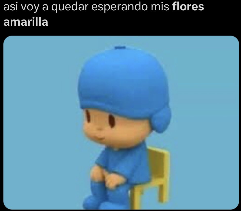 25Lauriitha's tweet photo. Pero yo si quiero flores amarillas 🌼🌼🌼🌻🌻🌻🌻🌻🌻🌻 https://t.co/38AkiRhdU5