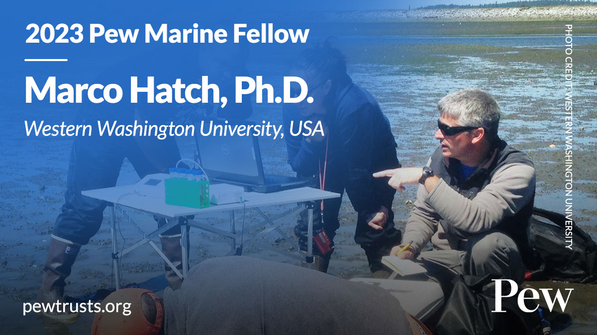 Congratulations, @marcohatch, on receiving a Pew Fellowship! Dr. Hatch is one of 7 researchers selected as a 2023 #PewMarineFellow, @pewenvironment’s community of global experts devoted to #marineconservation & protecting our marine ecosystems. More: westerntoday.wwu.edu/features/wwu-s…