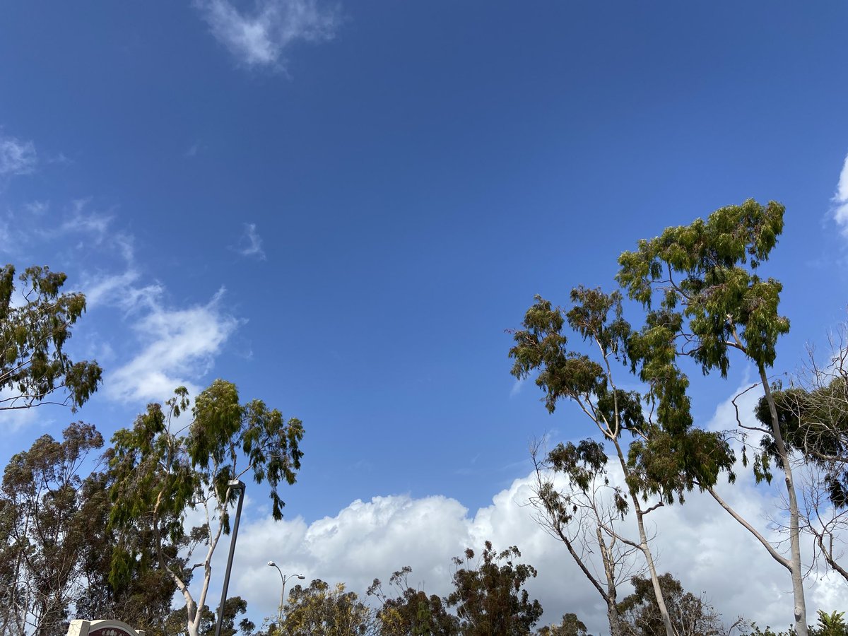 Dear every cold dark city experiencing brief moments of Spring: we finally get you.
Sincerely, SD