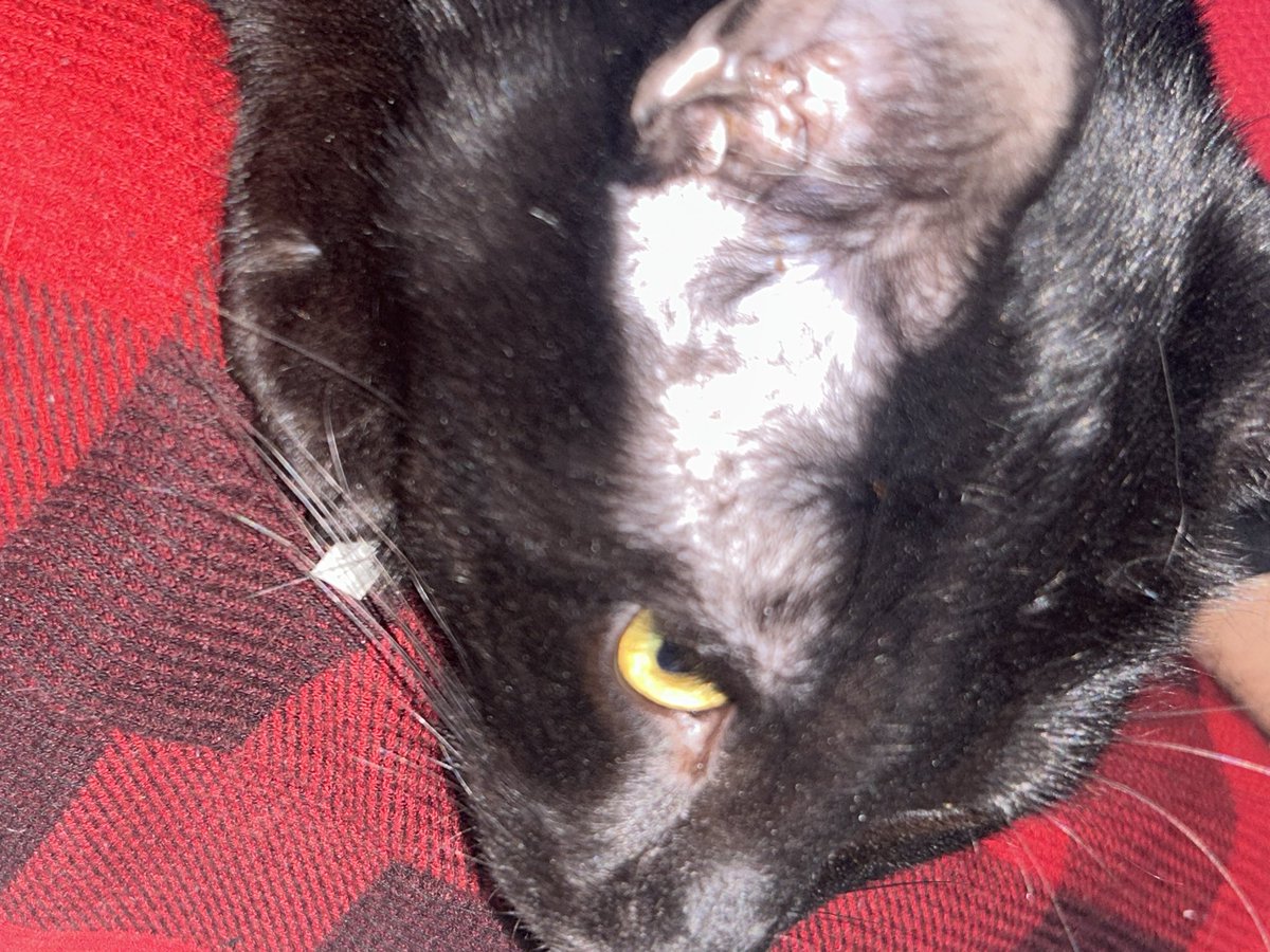 Byron Drek tweet media