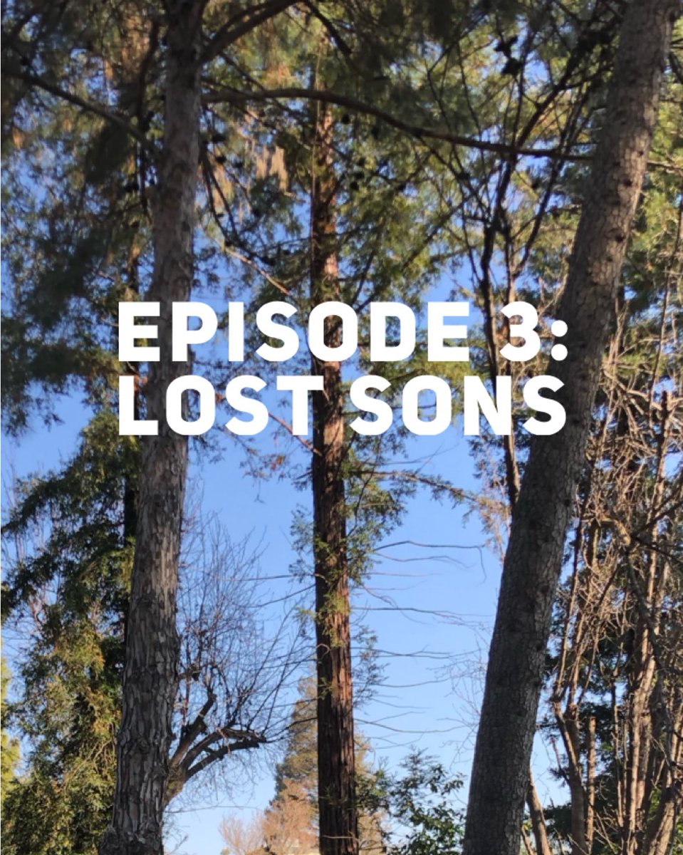 Pot5R's tweet image. Episode 3 is now available in early access!
.
.
.

#ttrpg #l5r #gamer #fantasy #pic #Pot5R #dice #roleplay #tabletopgaming #oni #rpg #spotify #patreon