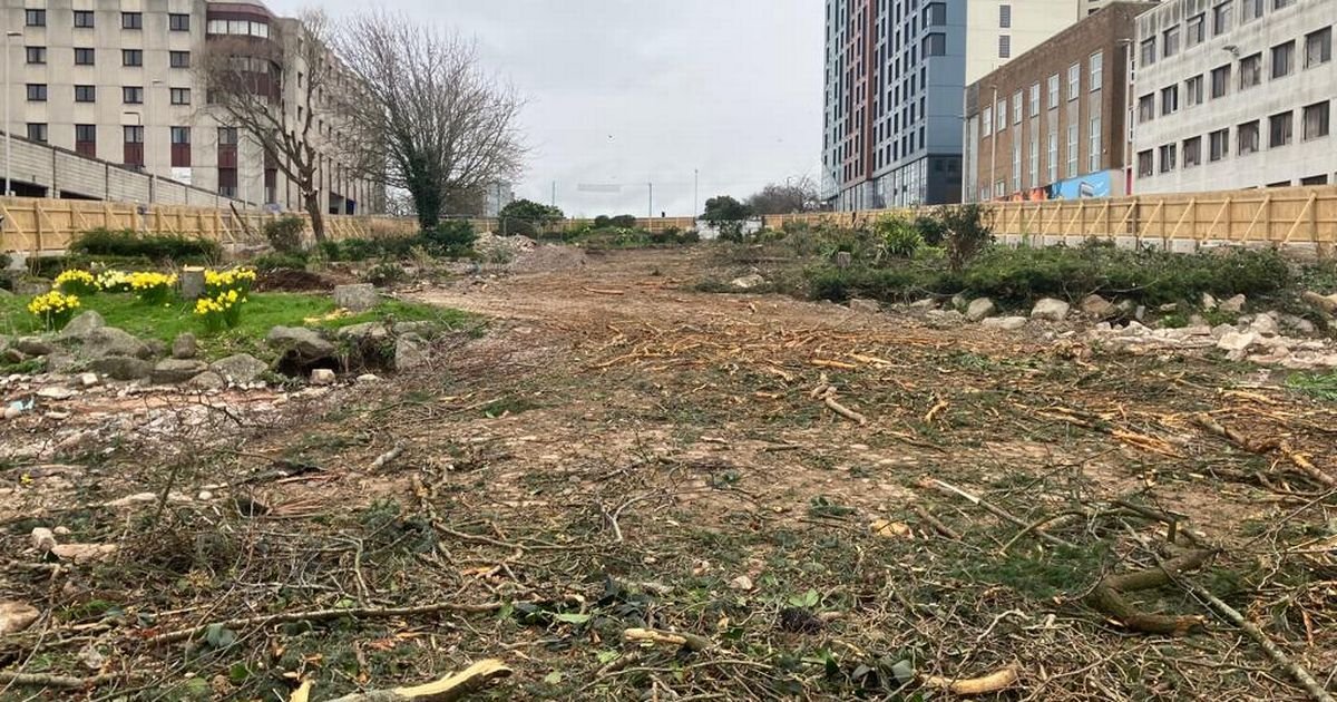 davelimited's tweet photo. @PhilMorandi Conservative Council?

This is what they did to Plymouth - at night...

#TreeKillers https://t.co/Ld9krw28ob