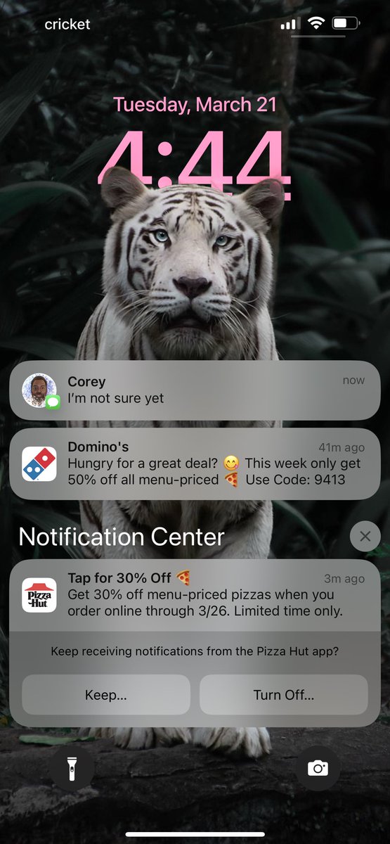 Teahboo's tweet photo. @dominos @pizzahut Eeny, meeny, miny, moe https://t.co/TYGhRPuVX1
