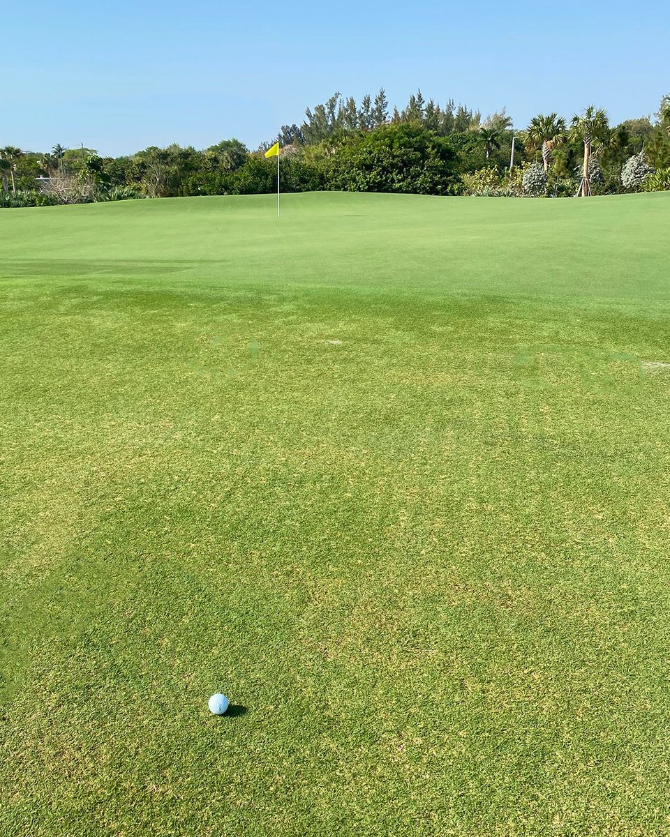 PGA of America tweet media