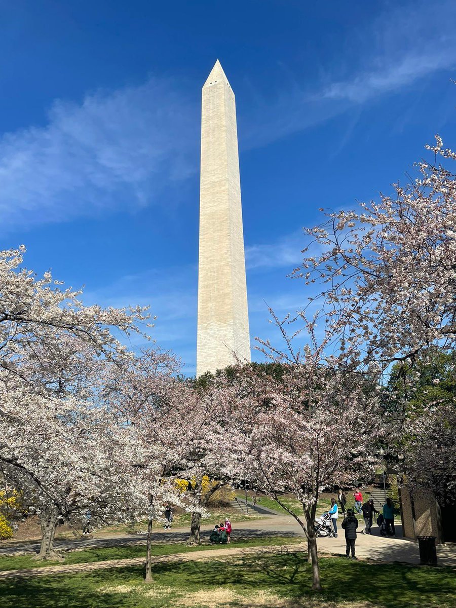 TyMurphy19's tweet photo. Happy first day of Spring from Washington, DC! 🍒
#HappySpring2023 https://t.co/hHPVkSbzSn