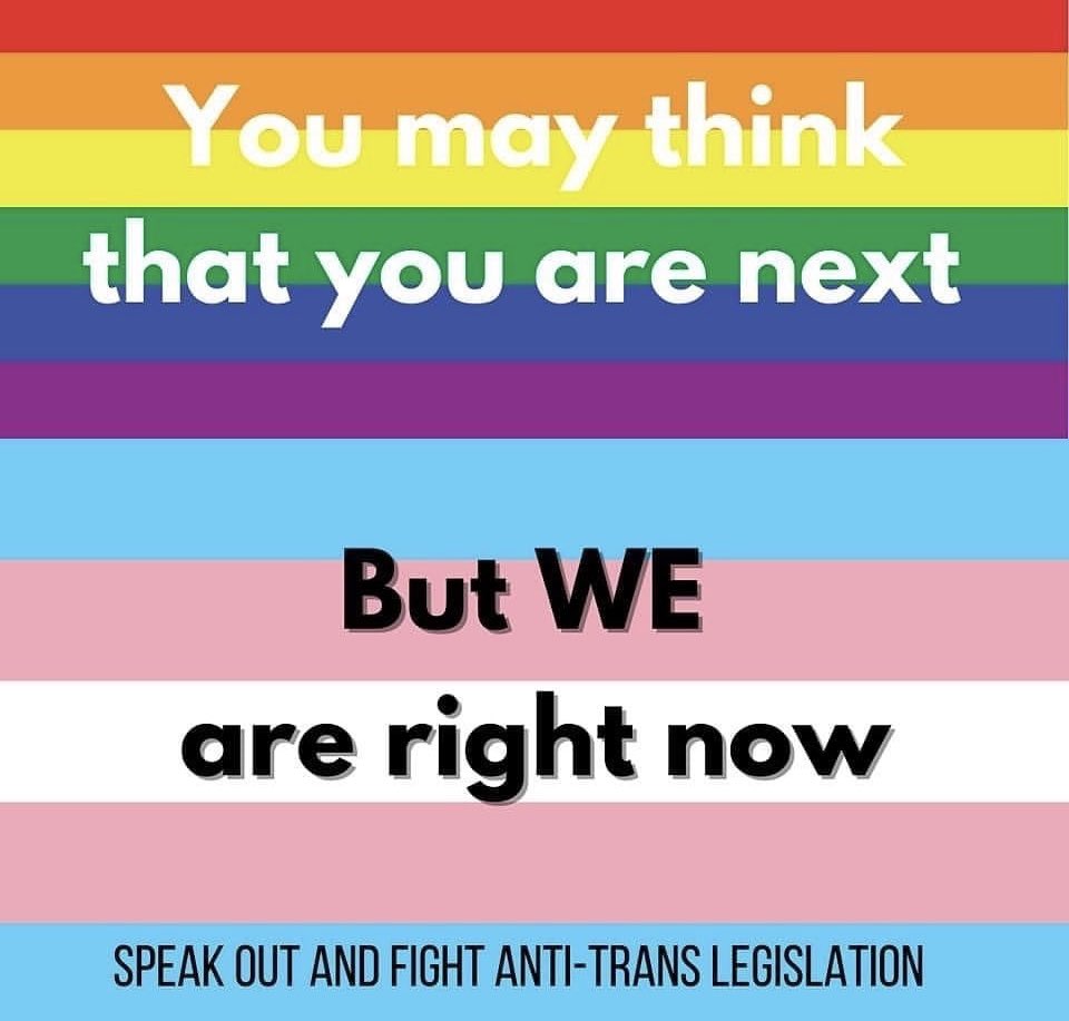 RainbowToffees's tweet photo. #ProtectTransLives https://t.co/XEfxDdgv1s