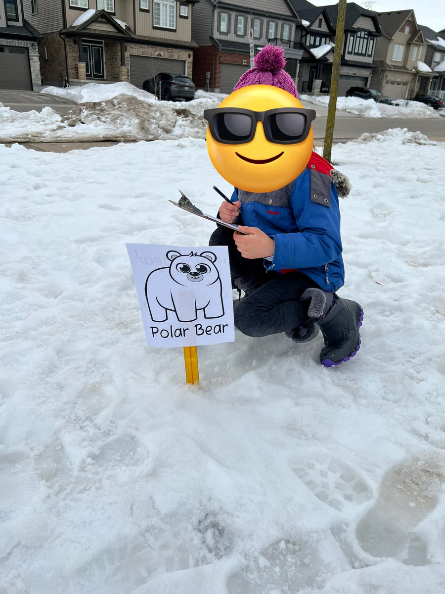 Melissa Stark tweet media