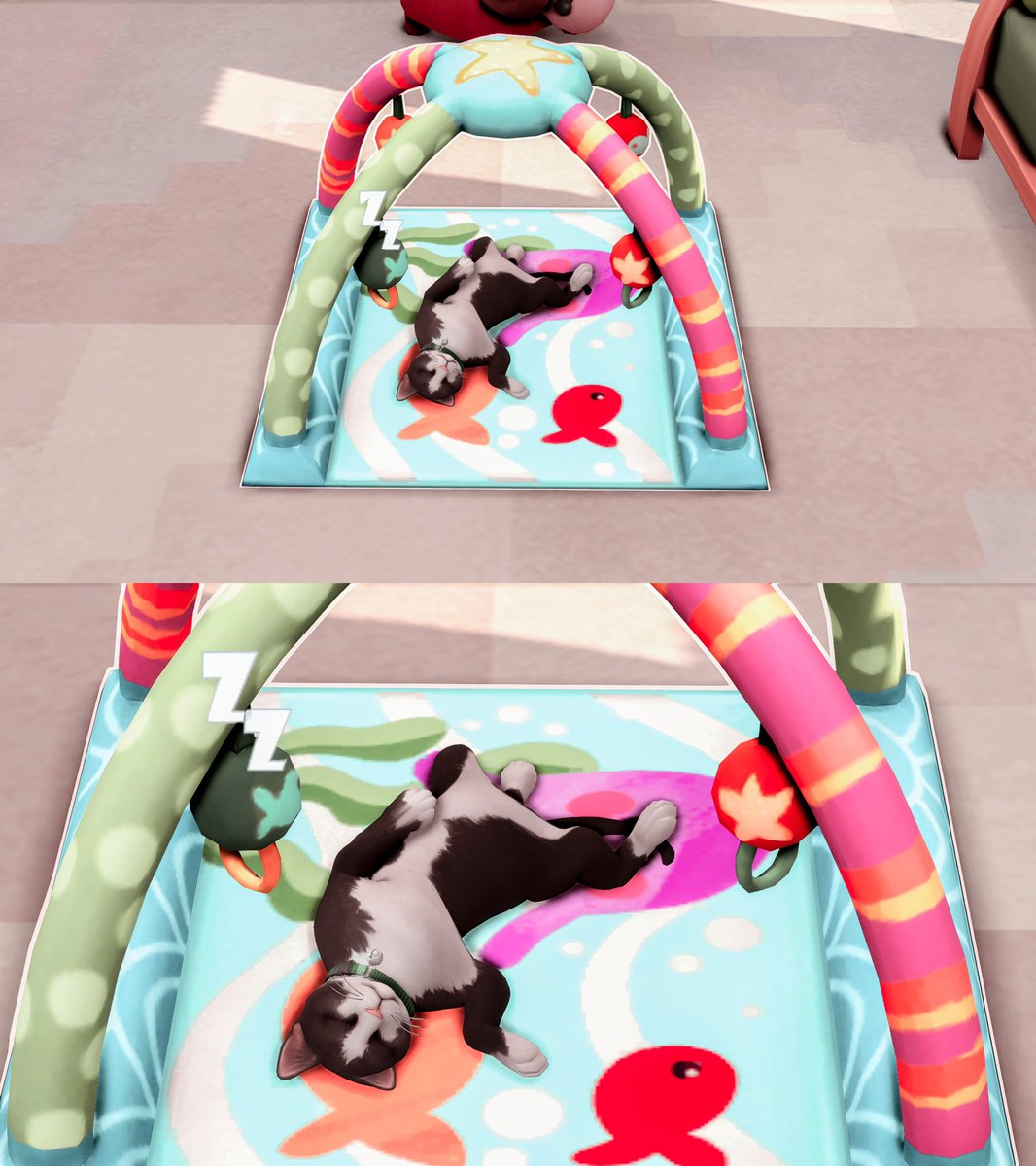 Typical cat, laying on anything that doesn’t belong to them 😅