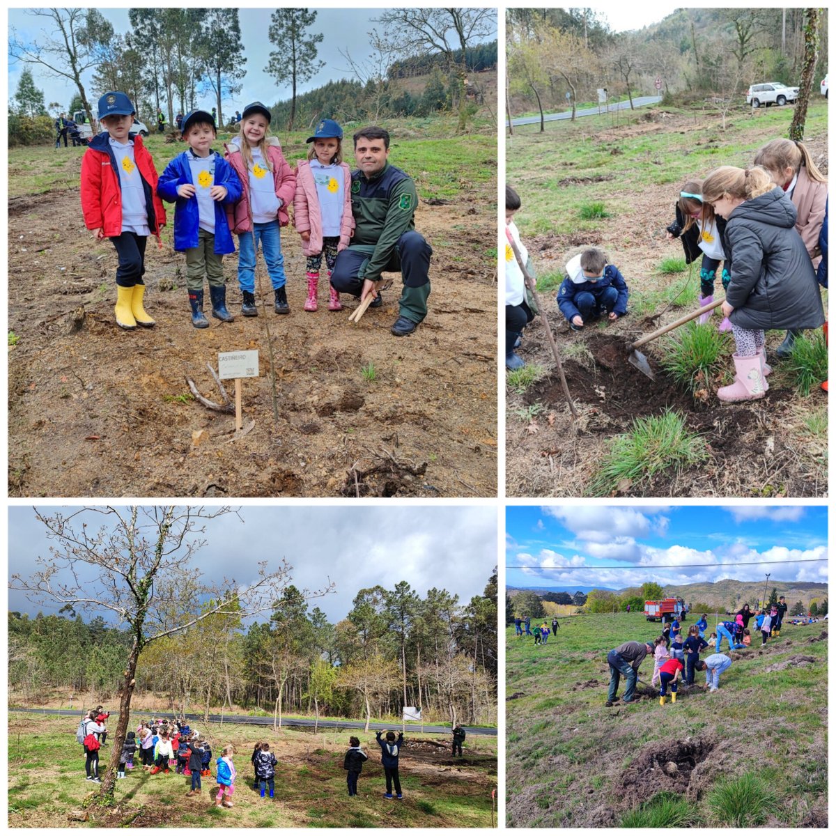 Aprafoga tweet media