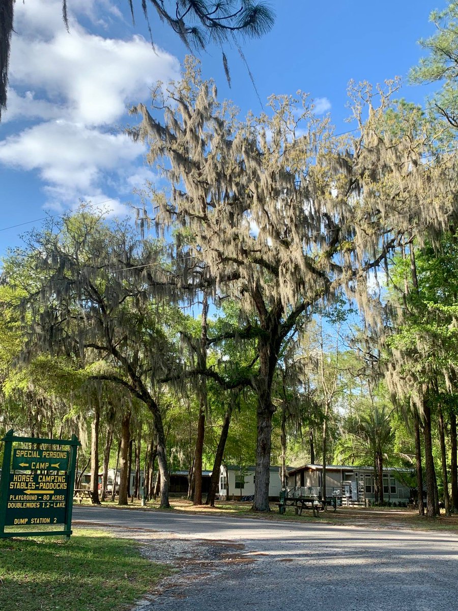 Spring is in the air! 🍃 Will you be camping with us this spring? 🌳 

🏕️ bit.ly/3gPKlCi
 
#SOSMP #MusicLivesHere #FloridaCampground #LoveFL #LiveOak <a href="/VisitSuwannee/">Visit Suwannee County Florida</a> 
📷: <a href="/resonatesuwann1/">Resonate Suwannee</a>