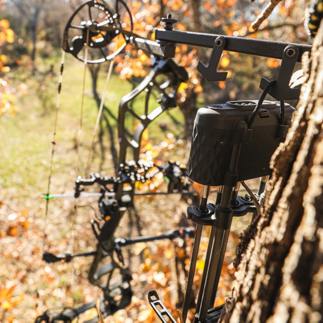 trophyridge's tweet photo. Whether you're sitting in a tree stand or blind, all Trophy Ridge Quivers can be removed and hung with the attached hanging loop.
#trophyridge #toolsbowhunterstrust #quiver #hangingloop #bowhunting #bowhunter #bow #compoundbow #treestand #blind #archery #archer #hunting #hunt https://t.co/Khtj07c1qk