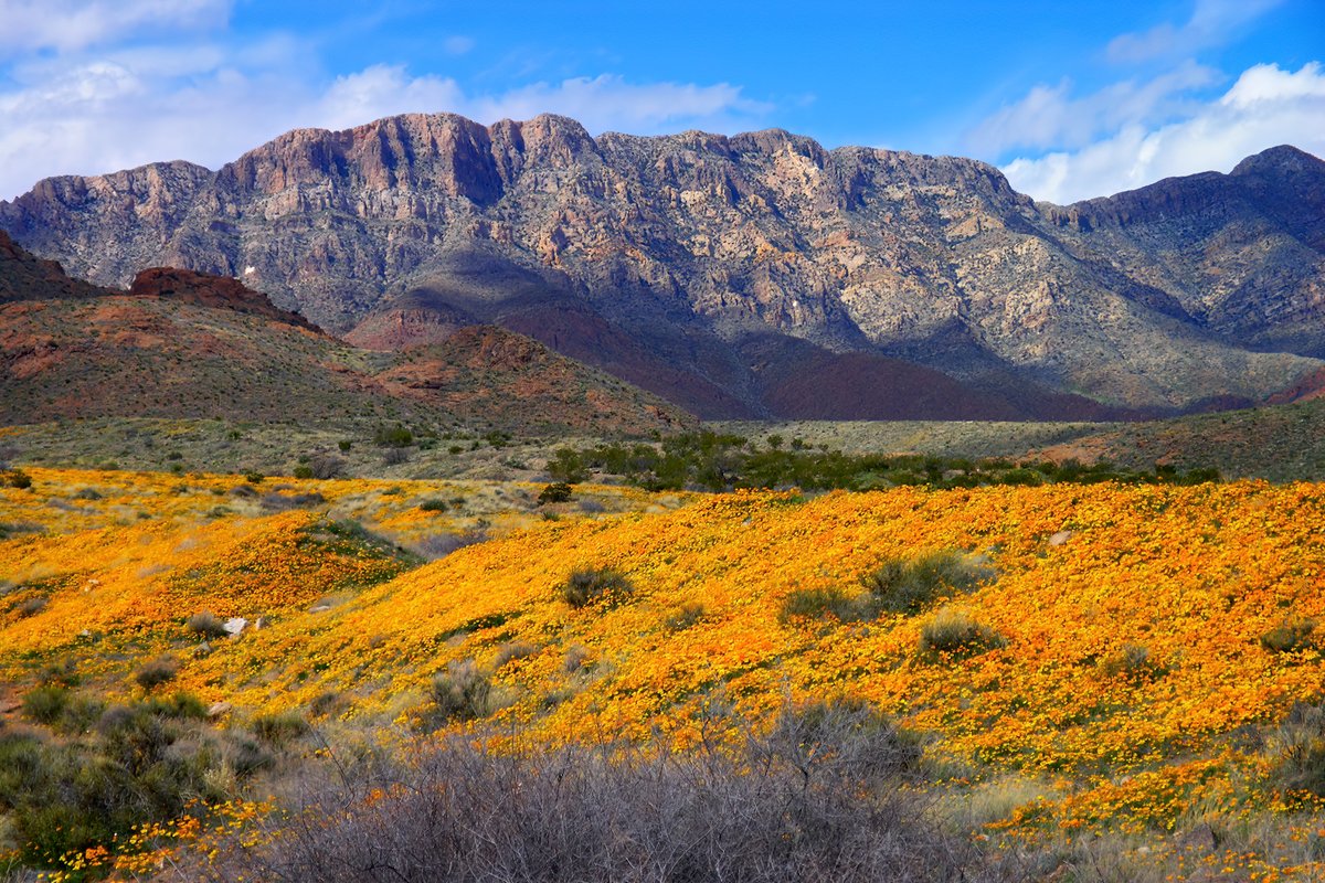 President Biden is establishing Castner Range National Monument in Texas, protecting over 6,672 acres of high-desert mountains. This new monument will expand access to the outdoors for the El Paso community while honoring our veterans, servicemembers, and Tribal Nations.